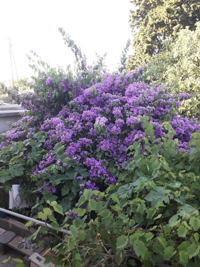 דירות Veli Iž Blue Harbour No. 15 מראה חיצוני תמונה